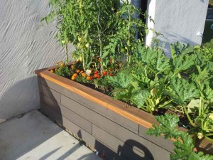 Potager sur mesure